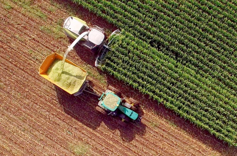 Brazilian-agribusiness